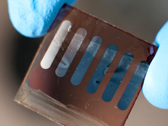Organic solar cell
